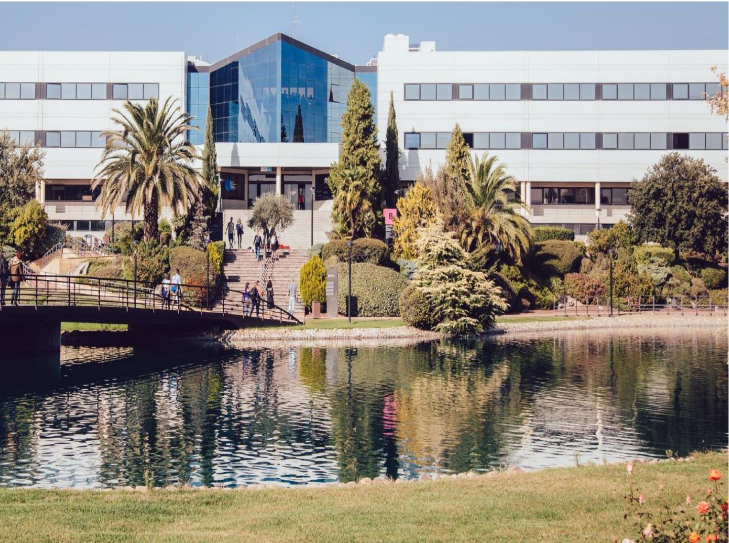 Fondo de presentación para tipos de máster disponibles en universidades de España